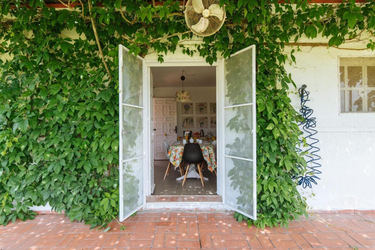 La Casita De Hato Pinos, Un Rincon En Donana Aznalcazar Екстер'єр фото